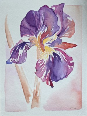 Aquarellbild dreier abstrakter  Irisblüten in Blautönen